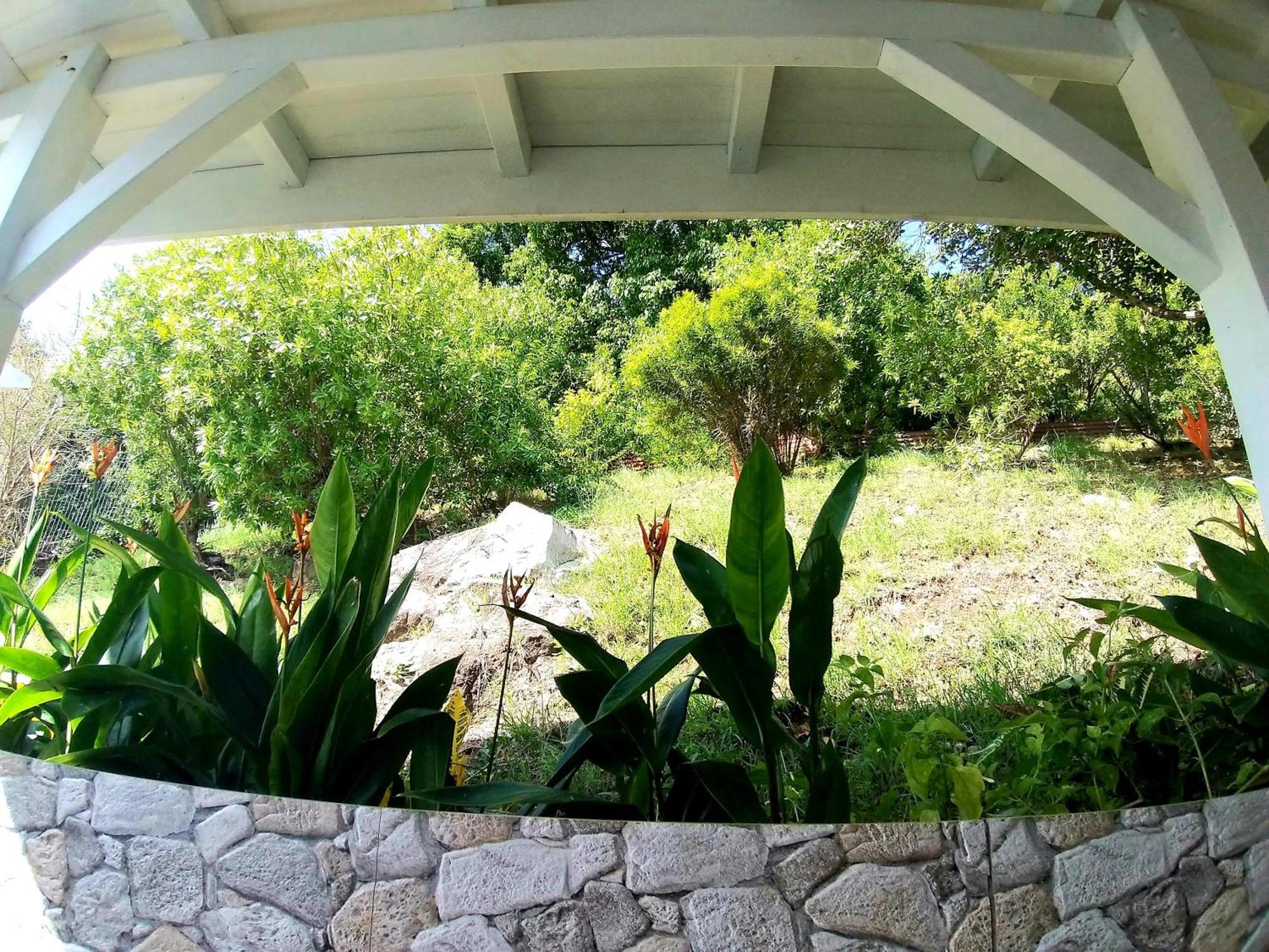 Villa Cana Et Son Spa A Terre De Haut Terre-De-Haut Exterior foto